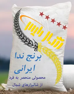خرید برنج ندا