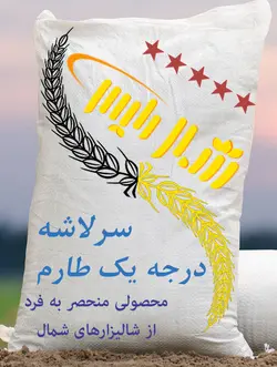 خرید برنج طارم سرلاشه درجه یک