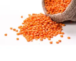 دال عدس (900 گرمی)