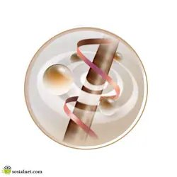 اتو مو رمینگتون مدل s8590