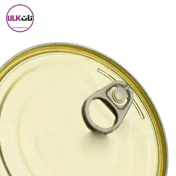 رب گوجه800گرمی اویلا