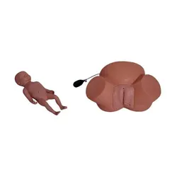 مانکن زایمان طبیعی وطبیعی سخت(مولاژ زایمان) - طب دائم - TebDaem
