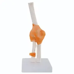 مولاژ ارنج بانمایش رباط ها - طب دائم - TebDaem