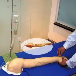 مولاژ آموزشی دست و بازو و تزریقات - طب دائم - TebDaem