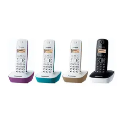 تلفن بی سیم پاناسونیک KX-TG1611Panasonic KX-TG1611 Cordless Phone