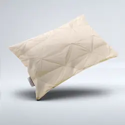 بالش دان پروف طرح دار