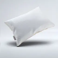 بالش دو مغزی