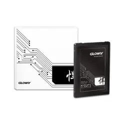 اس اس دی  گلووی Stryker Series 960G SSD
