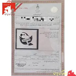 سرلاک طوطی‌ سانان و پرندگان - یک کیلویی - برند اصلی توییتی Tweety