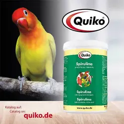 جلبک اسپیرولینا کویکو – Quiko Spirulina