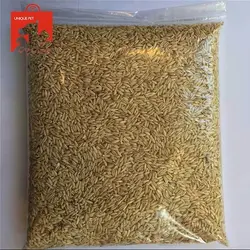 جو دوسر - یولاف