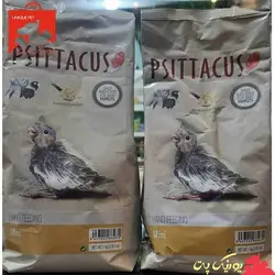 سرلاک طوطی - سیتاکوس مینی