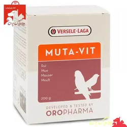 موتاویت - ورسله لاگا