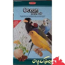 صدف شرکت پادوان ایتالیا