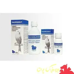 کلسی کولینا - پی . 250 میل