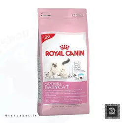 قرص مکمل سگ تقویت سیستم ایمنی europet immunis plus