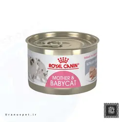 کنسرو بچه گربه و مادر رویال کنین  Royal Canin Mother &amp; Babycat