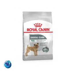 اسکرچر کارتنی گربه همراه با کت نیپ