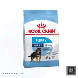 دندانی طرح استخوان کوچک R201