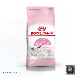 غذای خشک گربه مادر اند بیبی رویال کنین - Royal Canin Mother &amp; Baby cat 2kg