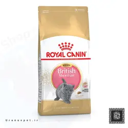 غذای خشک گربه رویال کنین مدل British Kitten وزن ۲ کیلوگرم