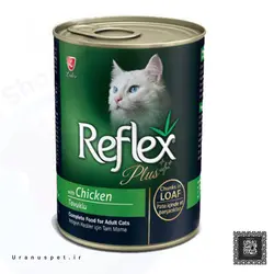 غذای خشک سگ سلبن مدل Small Junior وزن 2 کیلوگرم