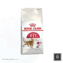 غذای خشک بچه گربه willowy 2k