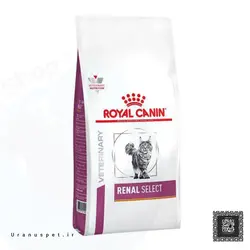 پوچ گربه بالغ مراقبت مجاری ادرار – urinary care royal canin