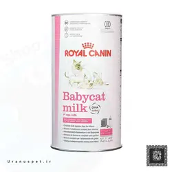 شیر خشک بچه گربه BABYCAT MILK ROYAL CANIN