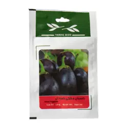 بذر بادمجان مشکی دلمه ای
