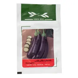 بذر بادمجان مشکی قلمی