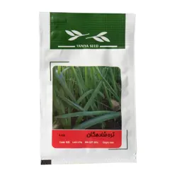 بذر تره شادهگان