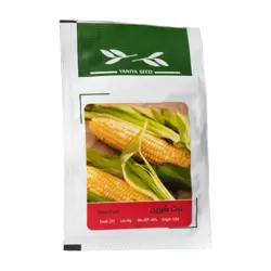 بذر ذرت شیرین