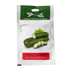 بذر کدو خورشتی سبز