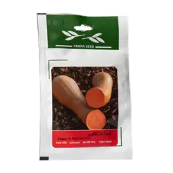 بذر کدو تنبل قلمی