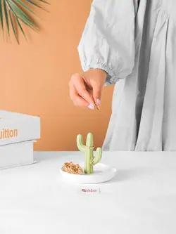 جا جواهری طرح کاکتوس سرامیکی