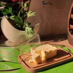 ظرف کره و پنیر خوری چوبی درب دار رایکا