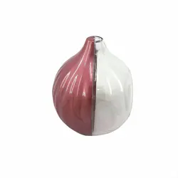 ظرف نگهدارنده پیاز