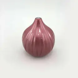 ظرف نگهدارنده پیاز