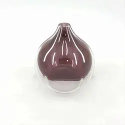 ظرف نگهدارنده پیاز