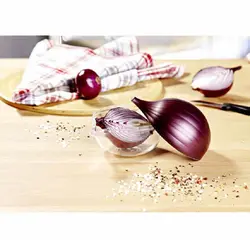 ظرف نگهدارنده پیاز