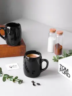 قهوه ساز فلاویا مدل FL-200