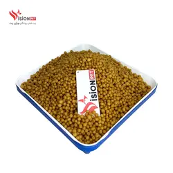پلت مینور سیتاکوس Minor - طوطی سانان متوسط و کوچک - 450 گرم Psittacus