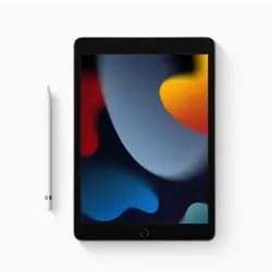 تبلت اپل مدل iPad 9 2021 4g ظرفیت 256 گیگابایت