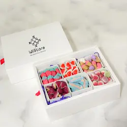 جعبه پاستیل 6 خانه