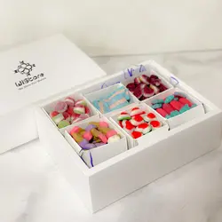 جعبه پاستیل 6 خانه