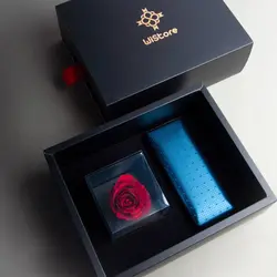 رز ‏جاودان ‏و ‏خودکار ‏کلیپ ‏