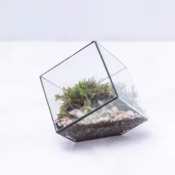 تراریوم ‏چندضلعی