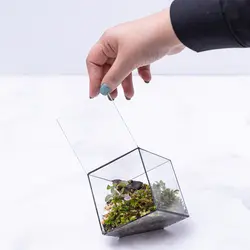 تراریوم ‏چندضلعی