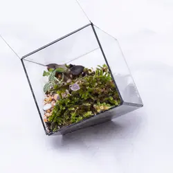 تراریوم ‏چندضلعی